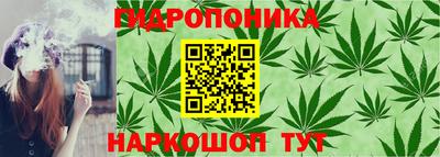 ALPHA PVP Кунгур