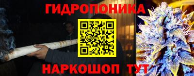 ALPHA PVP Кунгур