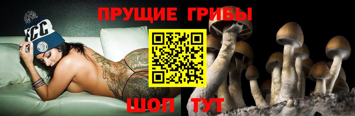 Жуковский  Галлюциногенные грибы мухоморы  Вход с VPN 